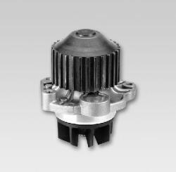 HEPU Pompă de apă, răcire motor HEPU P802 (P802) - automobilus