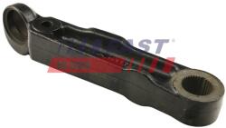 FAST Brat, suspensie roata FAST FT15068 (FT15068) - automobilus