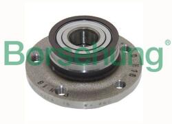 BORSEHUNG Set rulment roata BORSEHUNG B15621 (B15621) - automobilus