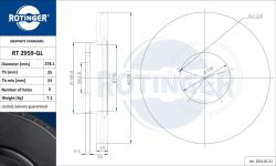 ROTINGER Disc frana ROTINGER GRAPHITE LINE RT 2959-GL (RT 2959-GL)