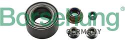 BORSEHUNG Set rulment roata BORSEHUNG B15959 (B15959) - automobilus