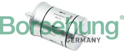 BORSEHUNG filtru combustibil BORSEHUNG B12825 (B12825) - automobilus