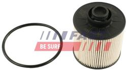 FAST filtru combustibil FAST FT39306 (FT39306)