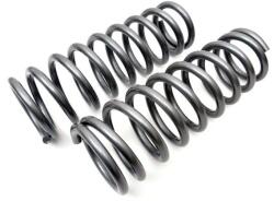 FAST Set suspensie, arcuri elicoidale FAST FT12230K (FT12230K)