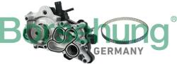 BORSEHUNG Pompă de apă, răcire motor BORSEHUNG B11207 (B11207)