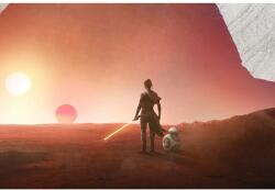  Rey Kylo Ren Star Wars poszter, 61x90 cm, poszter2858, többszínű (poster2858)