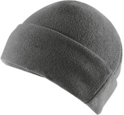  Caciula fleece, gri, THINSULATE (4031973022238) - constructii-mag