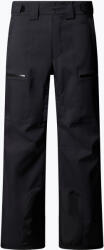 The North Face Pantaloni de schi pentru bărbați The North Face Chakal Regular black/black