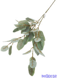  Leveles ág 95cm - Hamvas Zöld