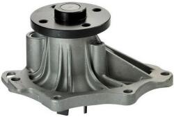 Denckermann Pompă de apă, răcire motor DENCKERMANN A310355P (A310355P)