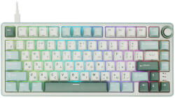 Royal Kludge RK-R75-SKYCYN-KSLVSW-US