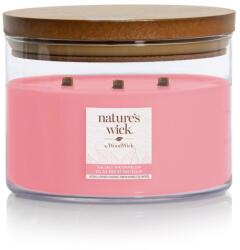 WoodWick Salt watermelon 433 g