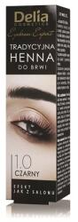 Delia Cosmetics - Eyebrow Tint Vopsea sprâncene, Delia, 1.0 Black, 2 g