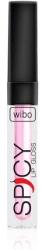 WIBO Lip Gloss, Wibo, Spicy, 4.5 ml