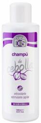 VALQUER Șampon antioxidant, Valquer, Onion, 1000 ml