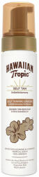 Npg Spumă Îndepărtare Pete, Hawaiian Tropic, 200 ml, textura ușoară