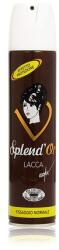 Splend`Or Spray fixativ, Splend' Or, Normal Hold, 300 ml