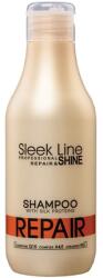 Stapiz Șampon reparare, Stapiz, Sleek Line, 300 ml