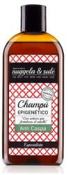 Faberge Șampon anti-mătreață, Nuggela & amp; Sule, 250 ml, epigenetic