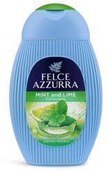 Felce Azzurra Gel de duș, Felce Azzurra, Mint și Lime, 250 ml