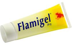 ‎Flen Health Gmbh Gel antiseptic Flen Health Flamigel, 40 g