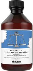 Stimul8 Șampon Davines Naturaltech Rebalancing, 250 ml