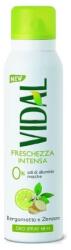 Vidal Deodorant spray, Vidal, Bergamot and Ginger, 150 ml