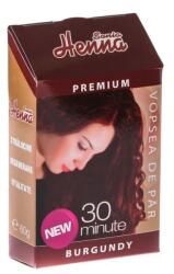 Henna Boya Vopsea de păr, Henna Sonia, Burgundy, 60g