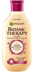 Garnier Șampon Garnier Botanic Therapy, Ulei de Ricin și Migdale, 400 ml