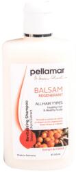 Pelladar Balsam regenerant, PellAmar, extract de cătină, 250 ml