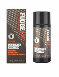Fudge Professional Pudră pentru coafare, Fudge Professional, volum 10 g