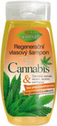 Bione Cosmetics Bio Cannabis Regeneráló tápláló sampon 260 ml sampon - hagyományos sampon