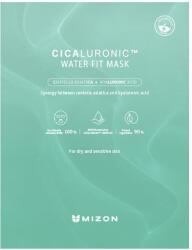 Mizon Cicaluronic Water Fit Mask 24 g