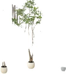  Mesterséges padlónövény, valósághű faux dizájn, testreszabható forma, zöld, 150 cm