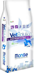 VetSolution Dog Gastrointestinal (2 x 12 kg) 24kg