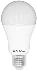 Entac 12W 3000K E27 LED fényforrás Entac (AVI LLG27 12W WW)