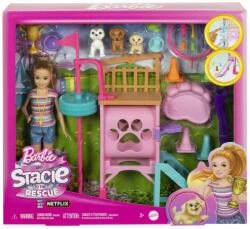 Mattel Barbie si Stacie Papusa Stacie Dresoare de Catei (MTHRM10) - edanco Papusa Barbie