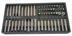 T-torx, t-torx (lyukas), imbusz, XZN bit készlet + 3/8" és 1/2" crowa foglalat, 60 darabos (WT01191) - szervizfelszereles