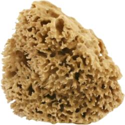 Cose della Natura Honeycomb - натурална гъба - Медиум, 8-10 г