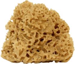 Cose della Natura Honeycomb - натурална гъба - Голям, 12-14 г