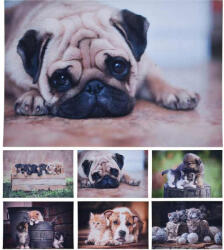 Homestyling Covoraș de curățare 58X38cm Bulldog KO-GR1001000buld Covor