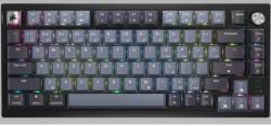Corsair K65 Plus (CH-91D401L-ND)