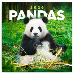 REALSYSTEM 2026 Pandas 6097-PS lemeznaptár (6097-PS) - bestbyte