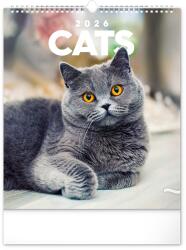 REALSYSTEM 2026 Cats 6087-CA falinaptár (6087-CA) - bestbyte