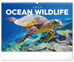 REALSYSTEM 2026 Ocean 6094 falinaptár (6094-OC) - bestbyte
