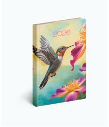 REALSYSTEM 2026 Fiestina Light 5411-73 kolibri B6 zsebnaptár (5411-73) - bestbyte