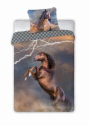  Best Friends lovas ágyneműhuzat szett - Lovaglás a viharban (595815) (595815)