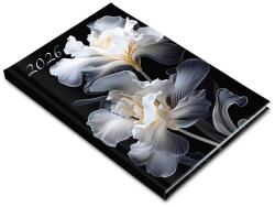 Realsystem 2026 Picture 5611-60 írisz B5 heti beosztású határidőnapló (5611-60) - officedepot