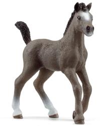 Schleich Schleich, Horse Club, Manz de rasa Cheval de Selle Francais, figurina, 13957 Figurina