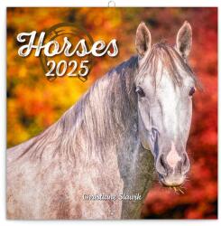 REALSYSTEM 2026 Horses 6097-HO falinaptár (6097-HO) - pcx